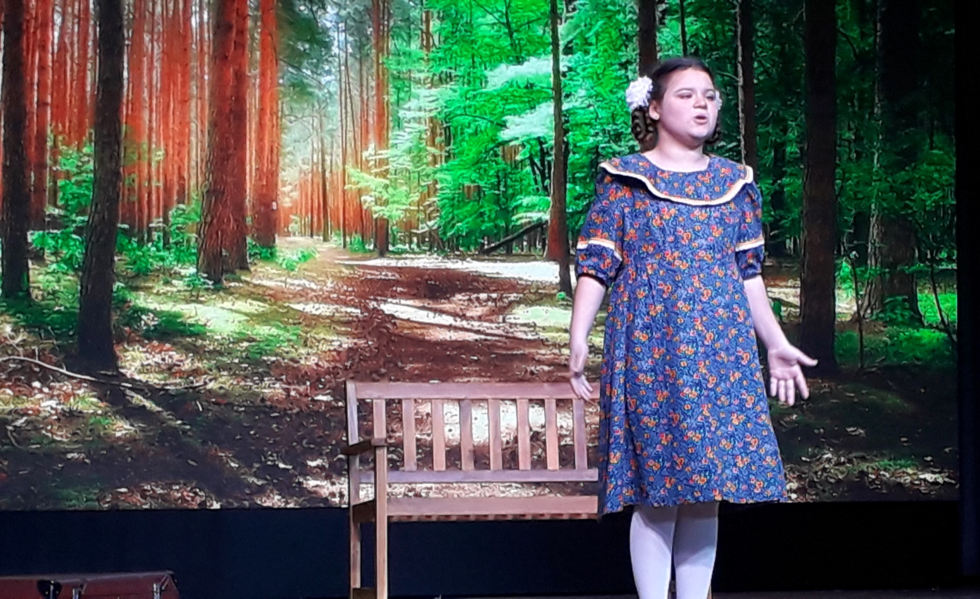 Мы создали спектакль «Мечта».